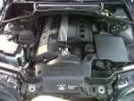 IMG00260-20110313-1844.jpg