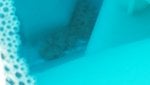 20160130_112700.jpg